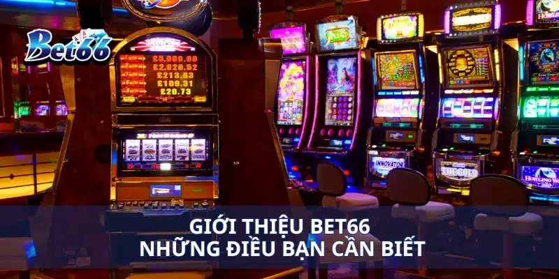Giới thiệu Bet66 1 Giới thiệu Bet66 những điều bạn cần biết