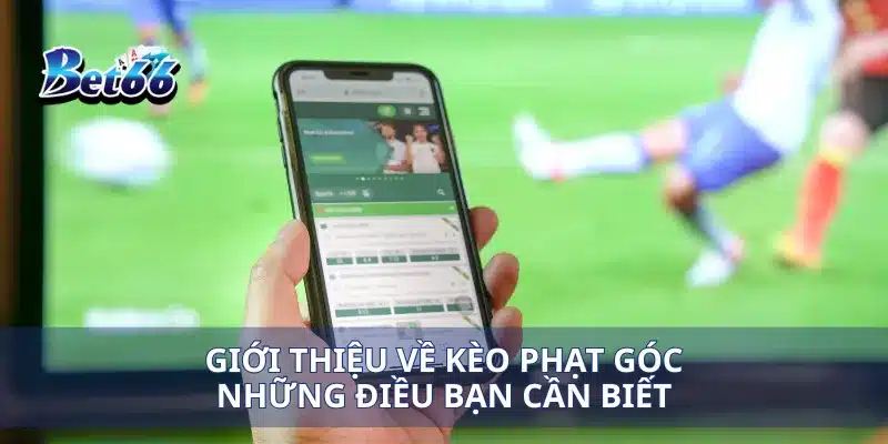 Kèo Phạt Góc Mẹo Đặt Cược Và Cách Đọc Kèo Chính Xác 2 Giới thiệu về kèo phạt góc những điều bạn cần biết