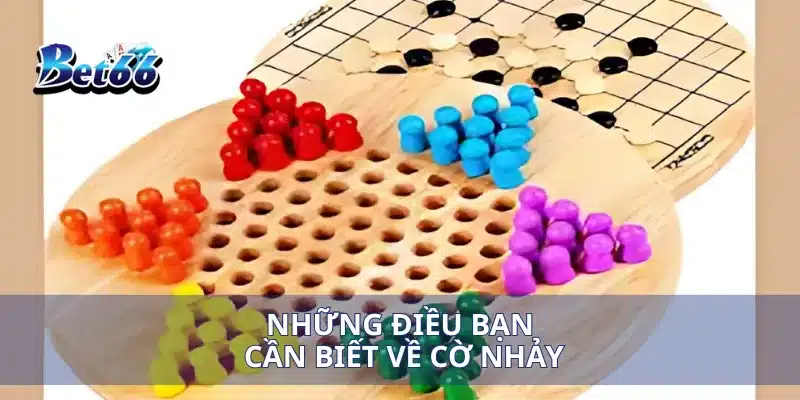 Cách Chơi Cờ Nhảy Hướng Dẫn Chi Tiết Cho Người Mới Bắt Đầu 2 Những điều bạn cần biết về cờ nhảy