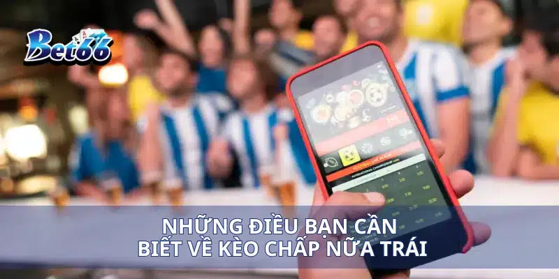 Kèo Chấp Nửa Trái Hướng Dẫn Chi Tiết Cách Đặt Cược Thắng Lớn 2 Những điều bạn cần biết về kèo chấp nữa trái