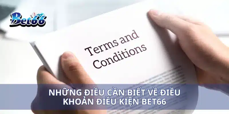 Điều khoản điều kiện Bet66 1 Những điều cần biết về điều khoản điều kiện Bet66