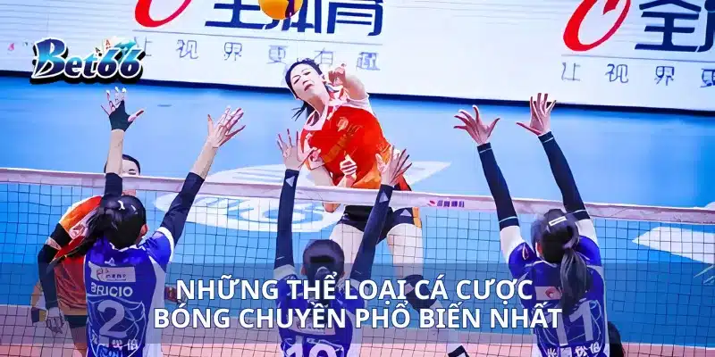 Cá Cược Bóng Chuyền Mẹo Đặt Cược Đúng Để Tăng Cơ Hội Thắng 2 Những thể loại cá cược bóng chuyền phổ biến nhất