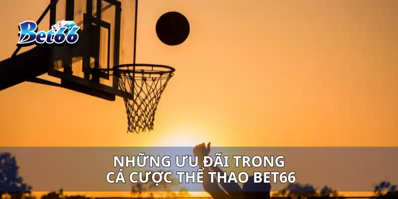 Thể Thao Bet66 Cá Cược Thể Thao Trực Tuyến Mới Nhất 4 Những ưu đãi trong cá cược thể thao Bet66