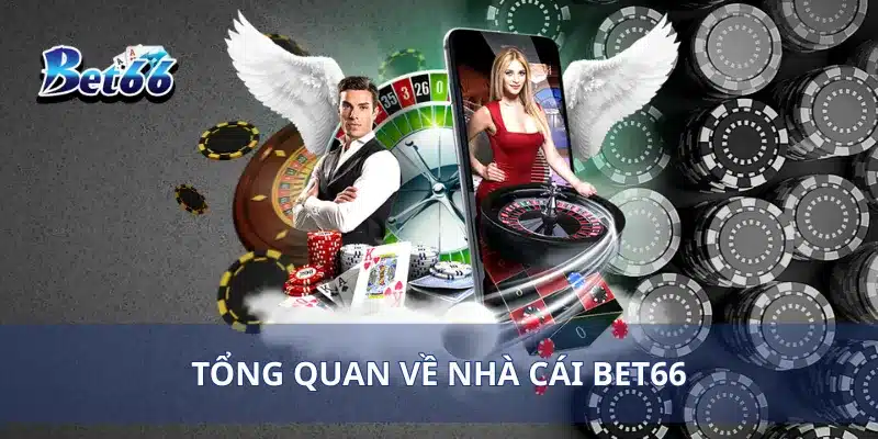 Trang chủ 312 Tổng quan về nhà cái Bet66